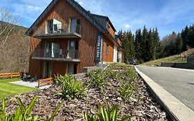Apartmány u Lesa