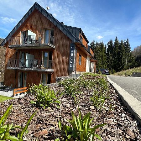Apartmány u Lesa Dolní Morava Exteriér fotografie